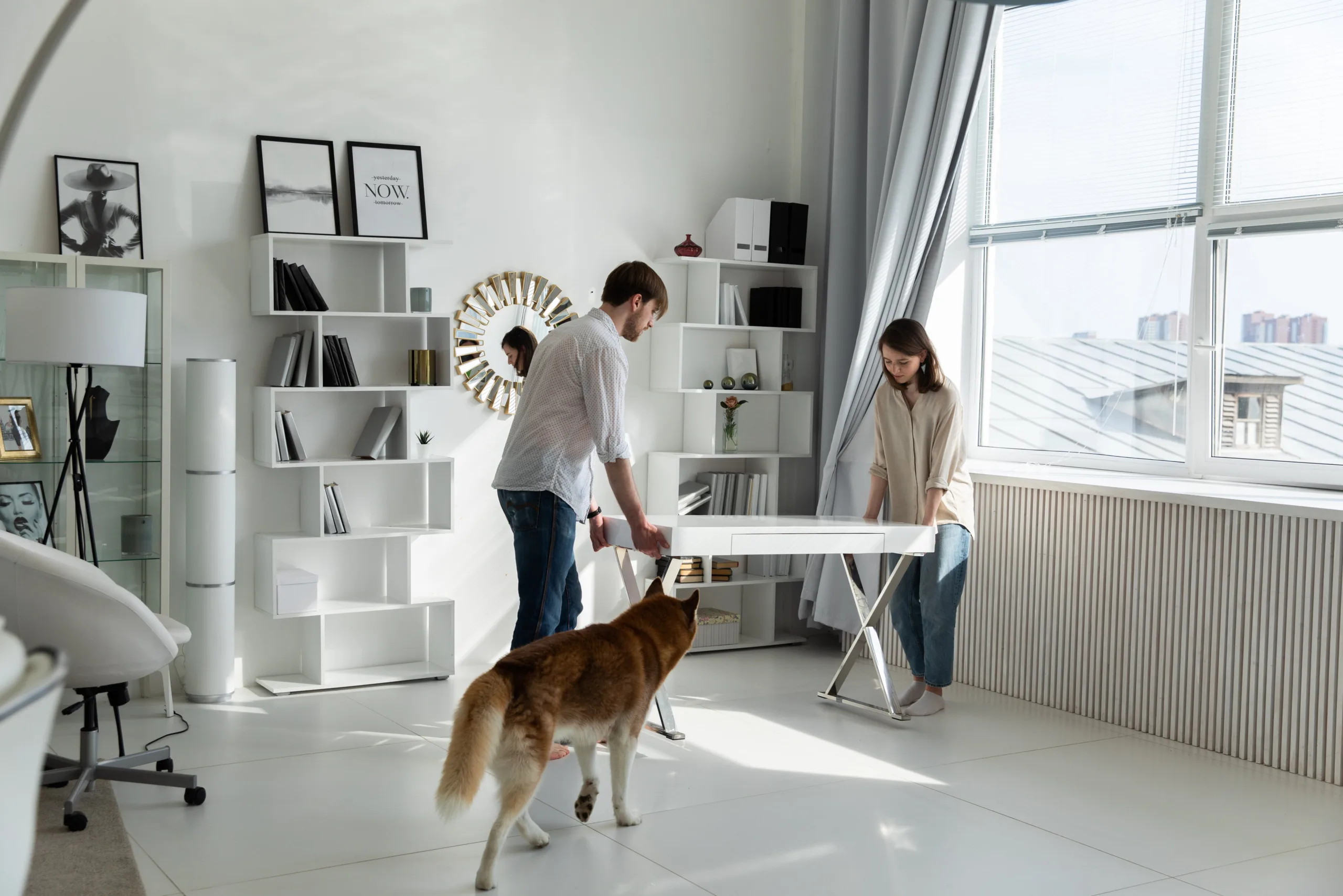 Moving with Pets -Photo by KATRIN BOLOVTSOVA: https://www.pexels.com/photo/couple-moving-white-desk-4680341/