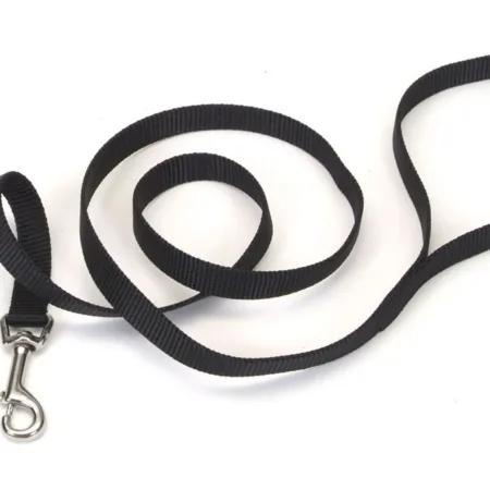 Coastal Single-Ply Nylon Dog Leash Black 5-8 in x 4 ft