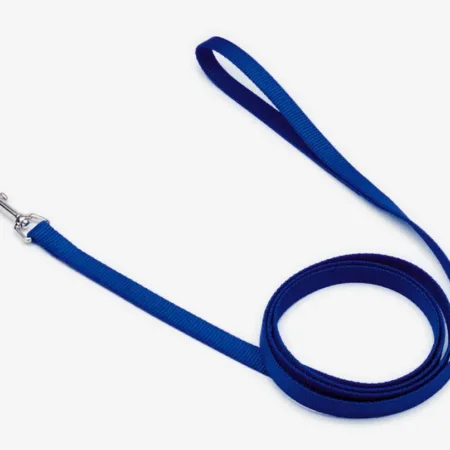 Coastal Single-Ply Nylon Dog Leash Blue 5-8 in x 4 ft