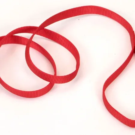 Coastal Single-Ply Nylon Dog Leash Red 3-4 in x 4 ft