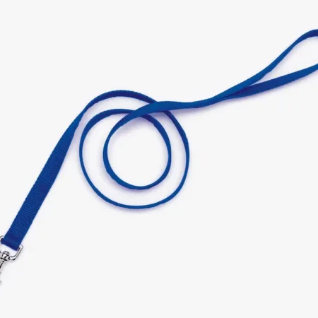 Coastal Single-Ply Nylon Dog Leash Blue 1 in x 4 ft