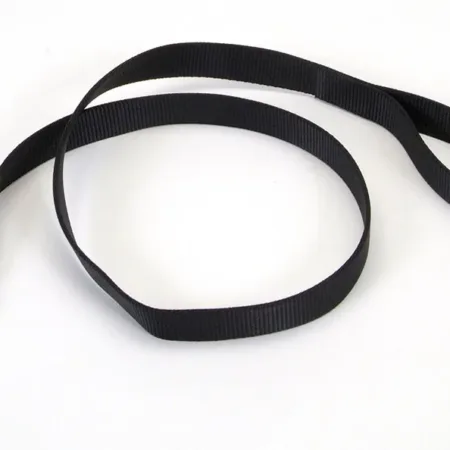 Coastal Single-Ply Nylon Dog Leash Black 1 in x 6 ft