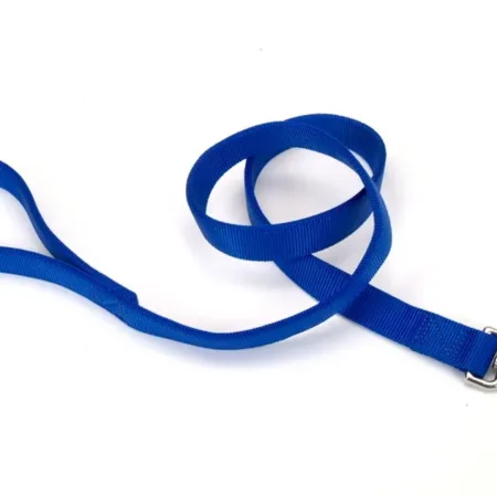 Coastal Double-Ply Nylon Dog Leash Blue 1 in x 4 ft