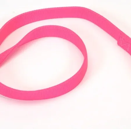 Coastal Double-Ply Nylon Dog Leash Neon Pink 1 in x 4 ft