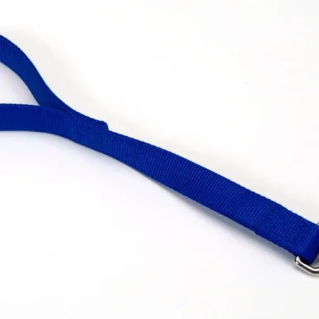Coastal Double-Ply Nylon Traffic Dog Leash Blue 1 in x 24 in