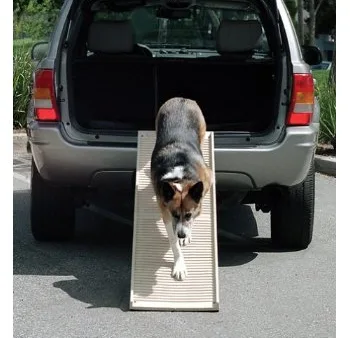 PetStep Folding Dog Ramp