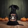 Stay Spooky Dog Shirt