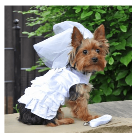 White Satin Wedding Dress & Headpiece