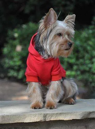 Flex-Fit Hoodie - Red - Yorkie