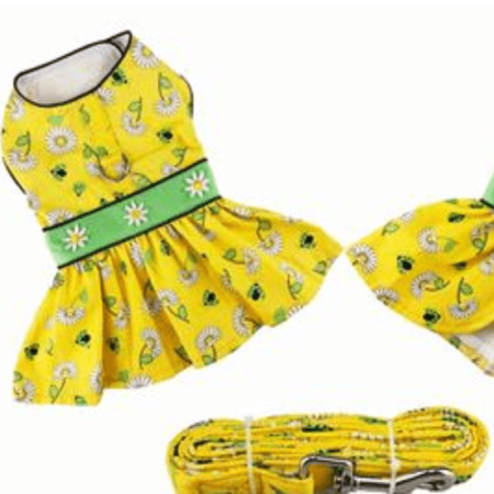 Ladybugs and Daisies Dog Dress and Matching Leash