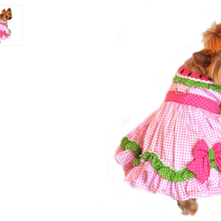 Watermelon Harness Dog Dress