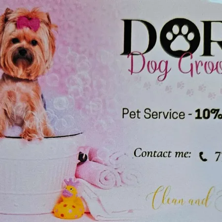 Dora Dog Grooming