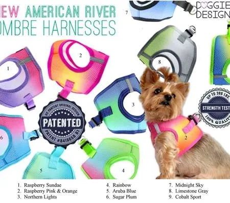 American River Ombre No Choke Harness