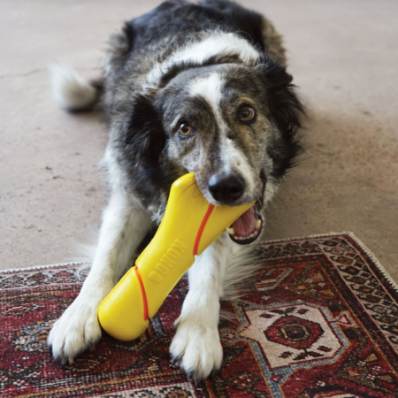 SQUEEZZ TENNIS BUOY W/ ROPE
