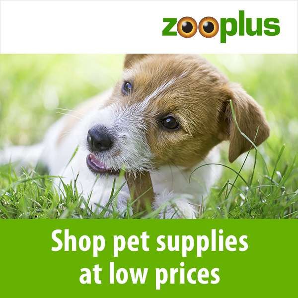 Shop Pet Supplies at