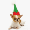 Dogo Pet Elf Hat
