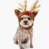 Dogo Rudolph Dog Hat