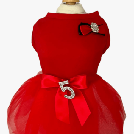 No 5 Holiday Glam Dress