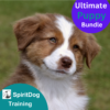 SpiritDog Ultimate Puppy Bundle