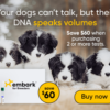 Embark DNA Test Kits