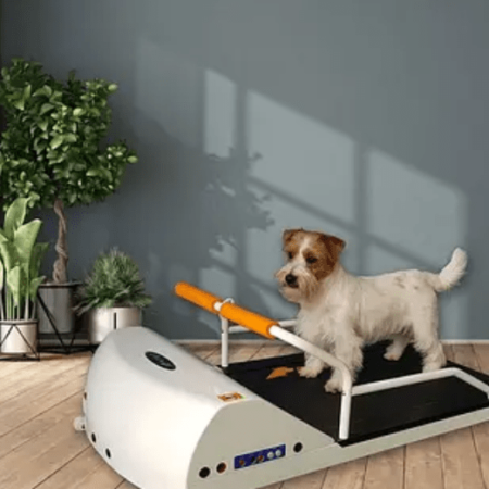 GoPet PR700 Treadmill for Toy Breeds