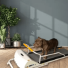 GoPet Petrun Treadmill PR720F Medium Dogs