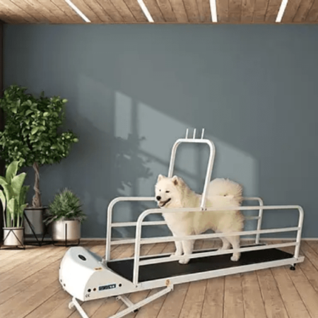 GoPet Petrun Treadmill for Large Breeds