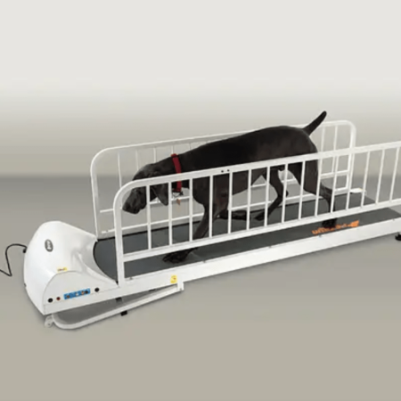 GoPet Petrun Treadmill for Large Breeds