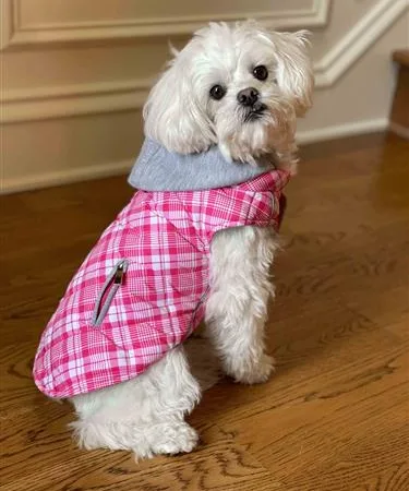 Doggie Design Weekender Dog Sweatshirt Hoodie Pink and White