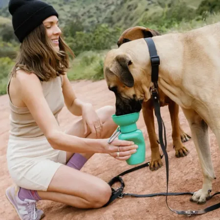 Springer 20oz Flip Cup Dog water bottle
