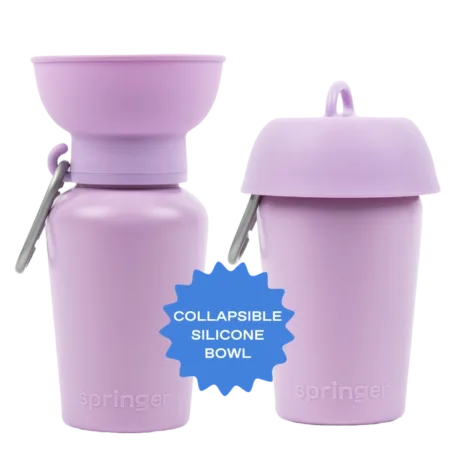 Springer 20oz Flip Cup Water Bottle Silicone